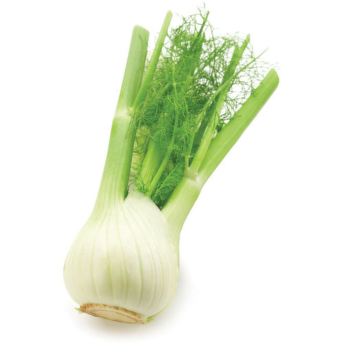Anise - Fennel