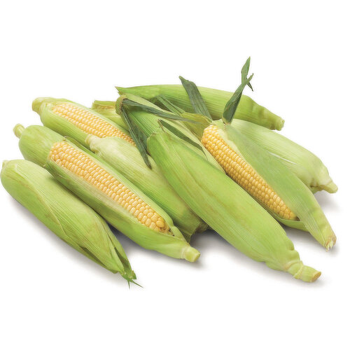 Corn - On The Cob, Fresh