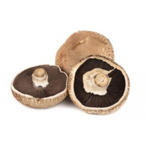 Mushrooms - Portabella Mushrooms, Bulk