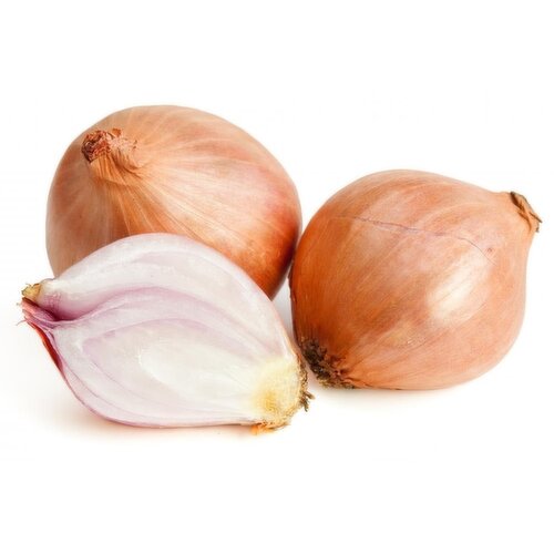 Fresh Shallot