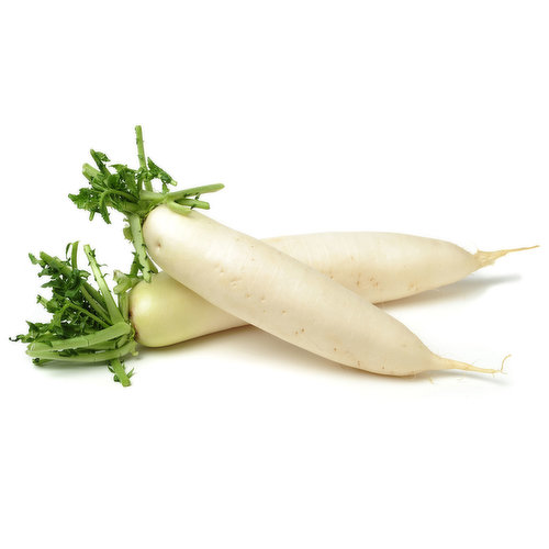 Daikon - BC Bulk