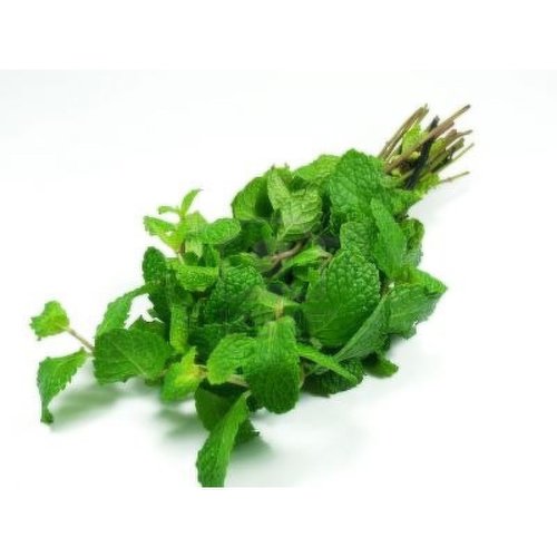 Mint - Bunched, Fresh