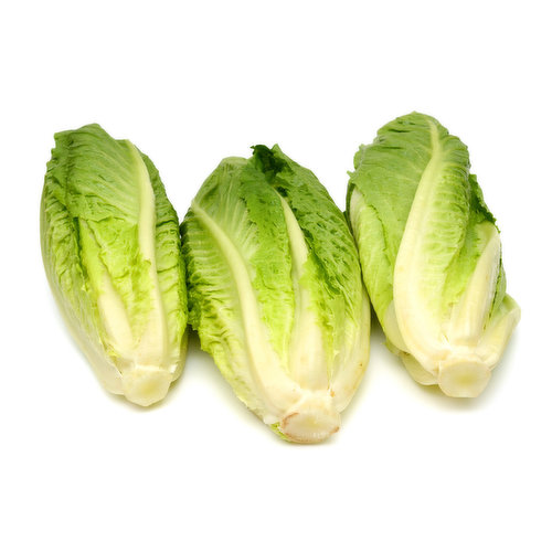 Lettuce - Romaine Hearts Organic 3 Pack