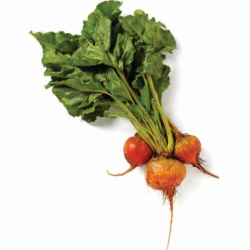 Beets - Organic Golden, Bunched