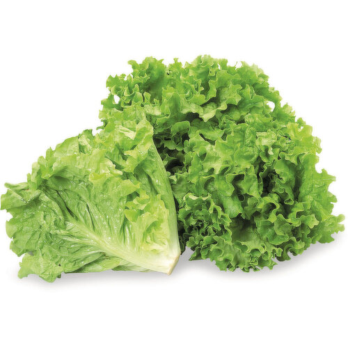Lettuce & Greens - Organic, Green Leaf Lettuce