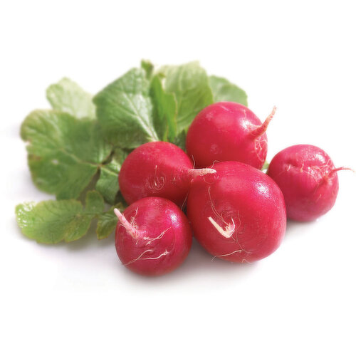 Beets & Radish - Radishes Bunch Organic