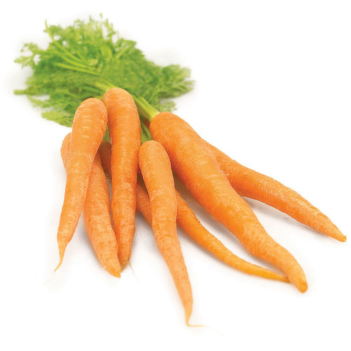 Carrots - Organic, Fresh Bunched