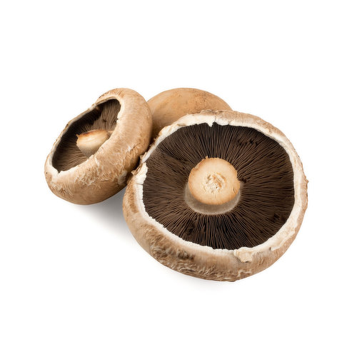 Mushrooms - Portabella Organic