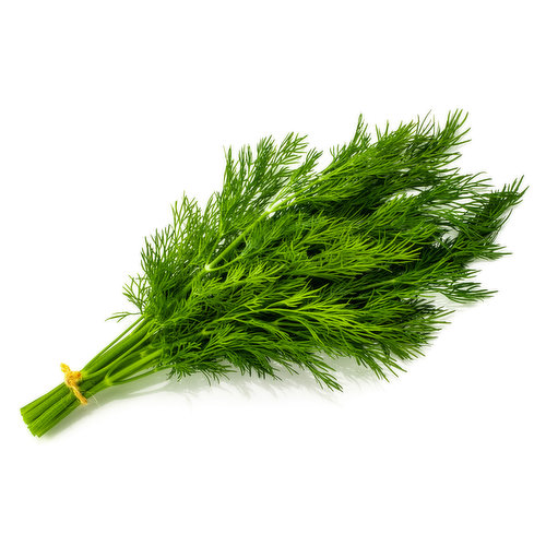 Dill Weed - Bunch Organic