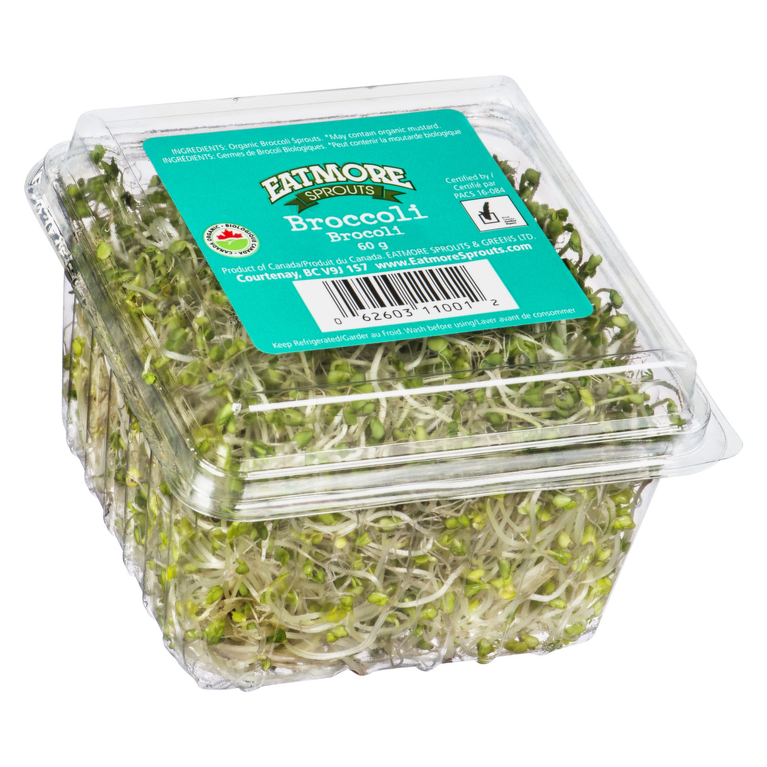 Broccoli sprouts