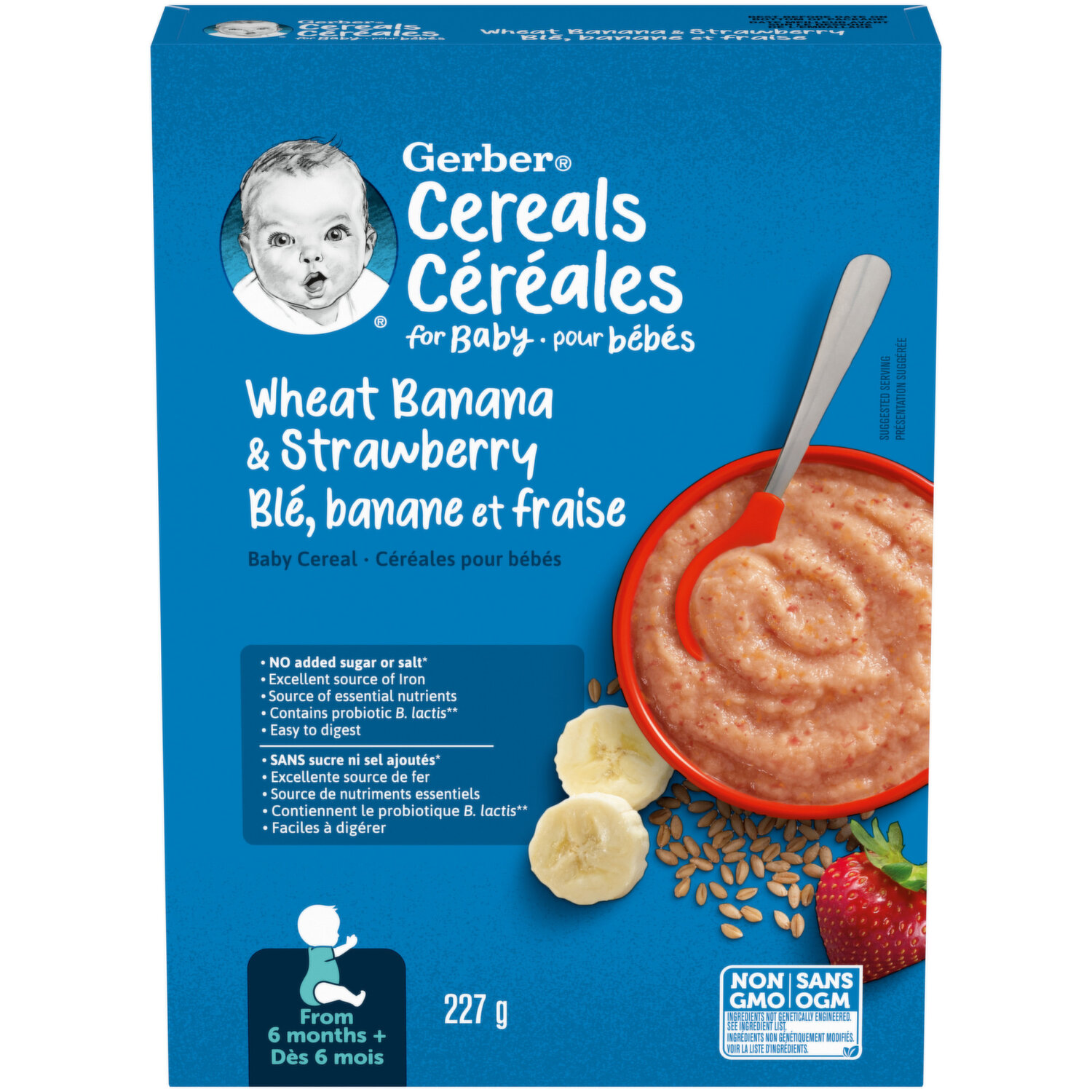 Céréales pour bébés dès 6 mois +, 227 g, blé fraise et banane – Gerber :  Céréale