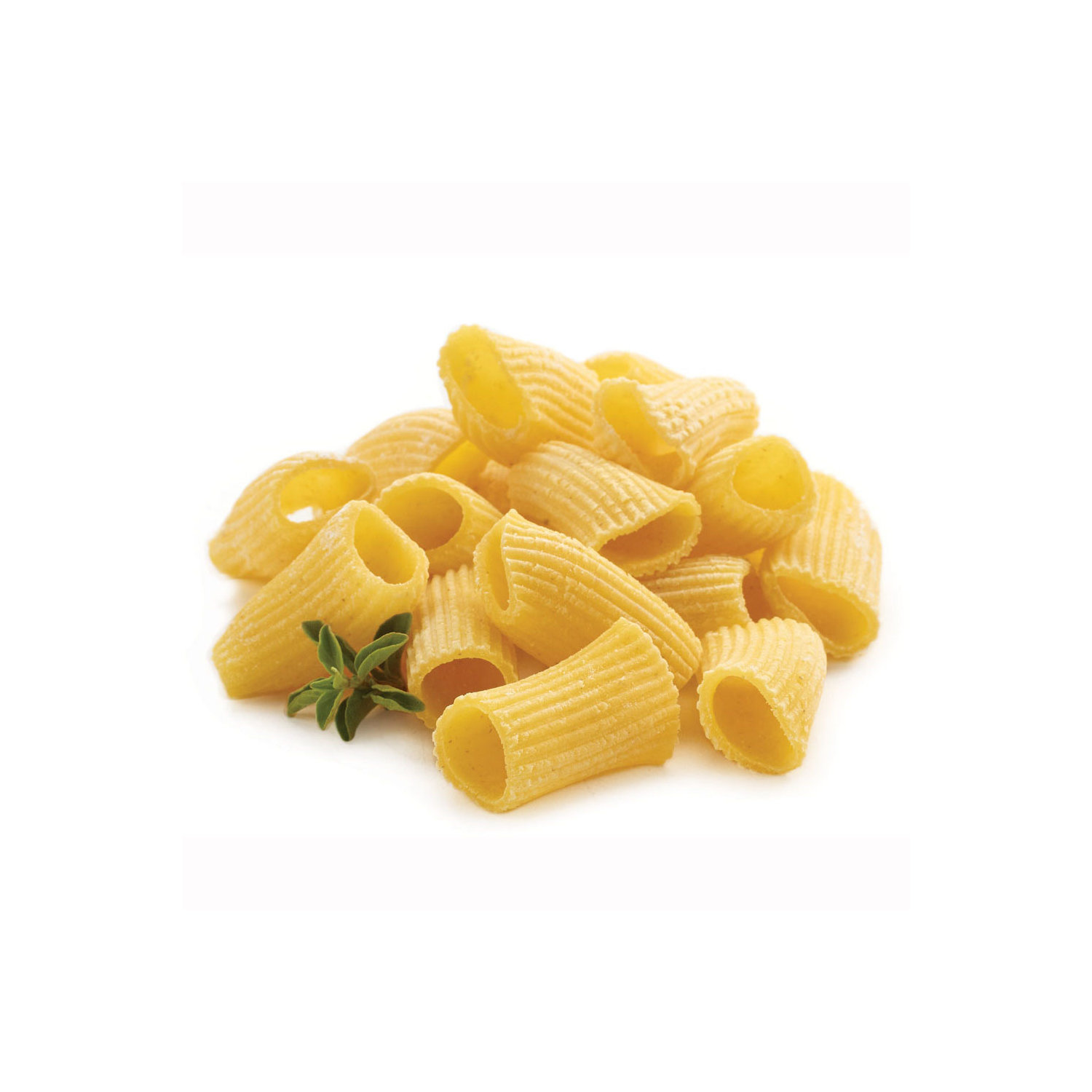 How to Make Fresh Rigatoni Pasta – Pasta Evangelists