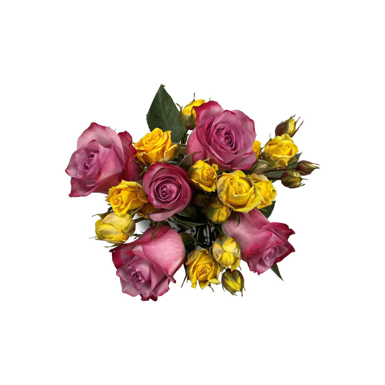 Yellow Button Pompons Flower buy bulk flowers- JR Roses