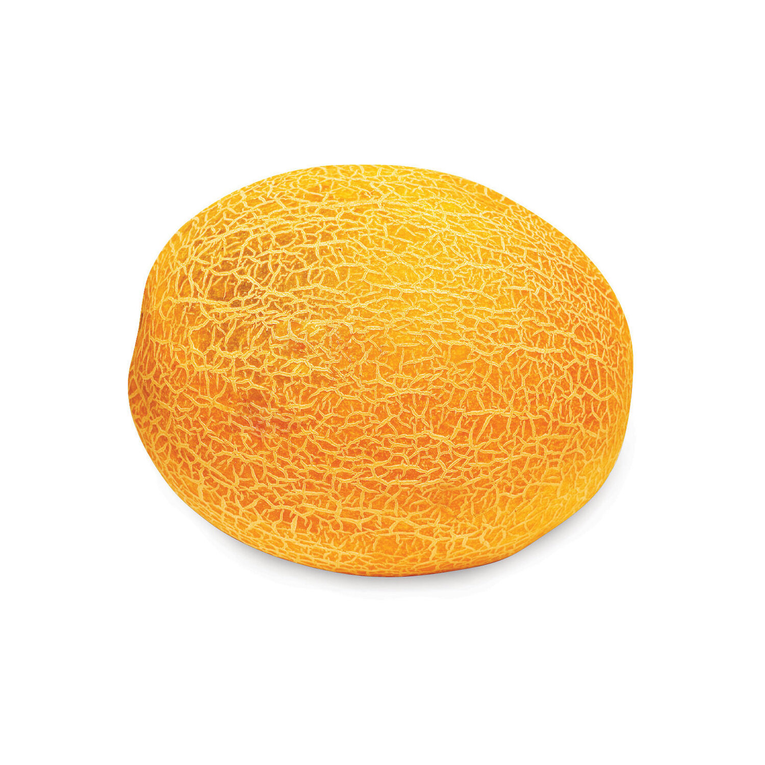 Melon, Honeydew Orangeflesh