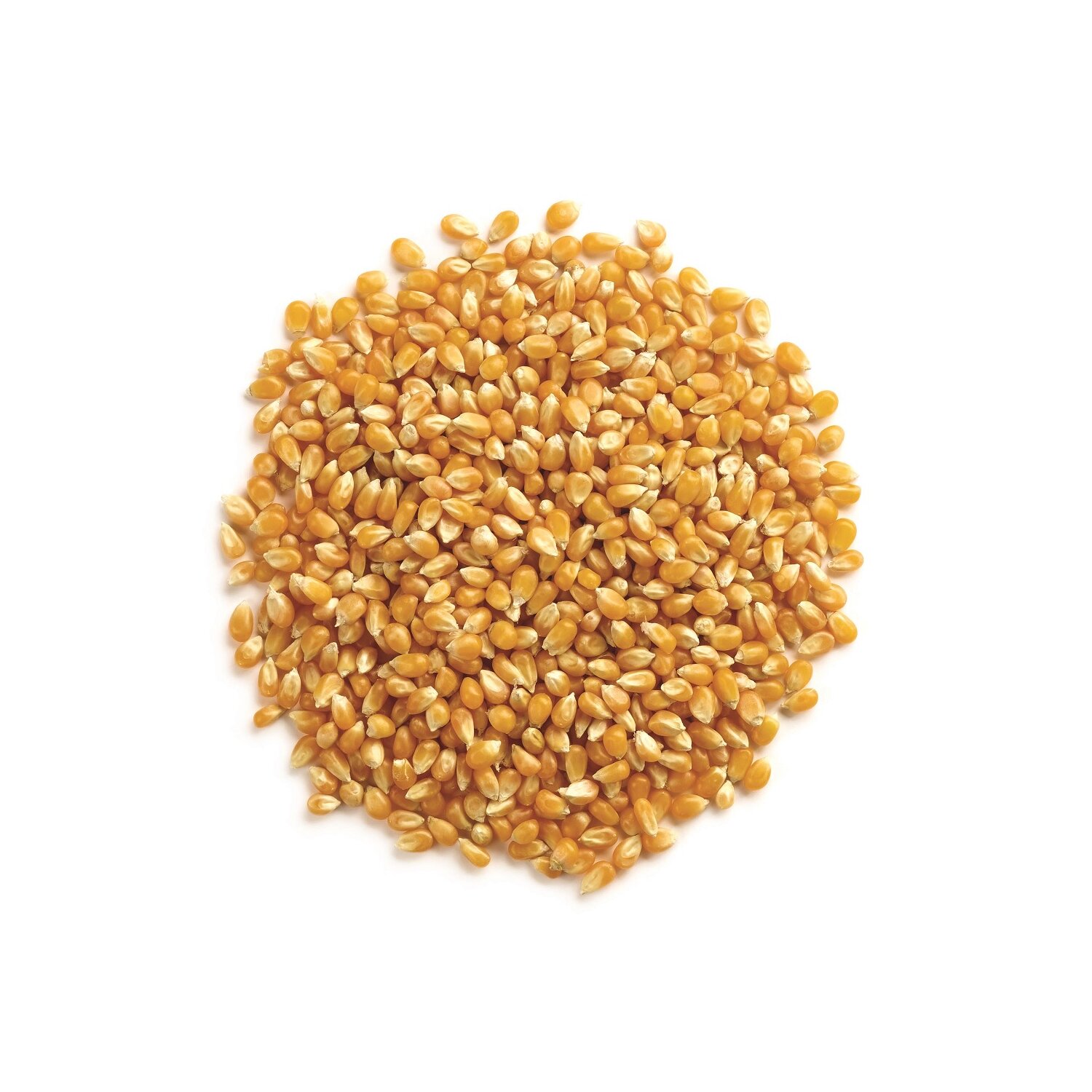 Rolled Oats, Quick, Thin, Organic — South Coast Organics and Bulk Foods