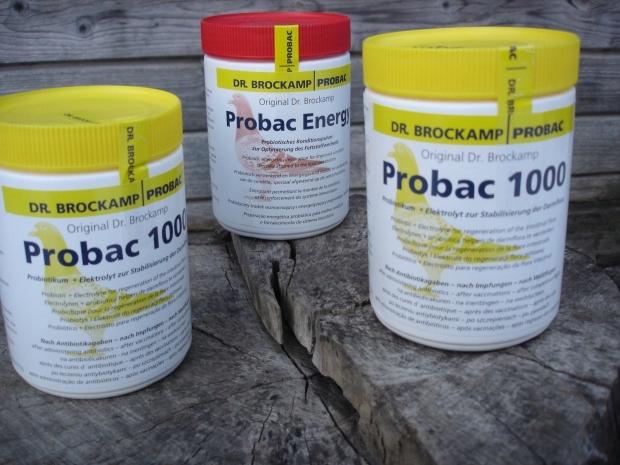 Probac energy  Brockamp 500 g
