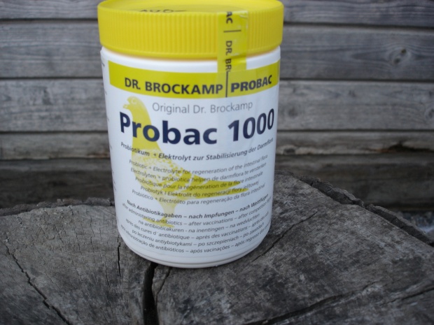 Probac energy  Brockamp 500 g