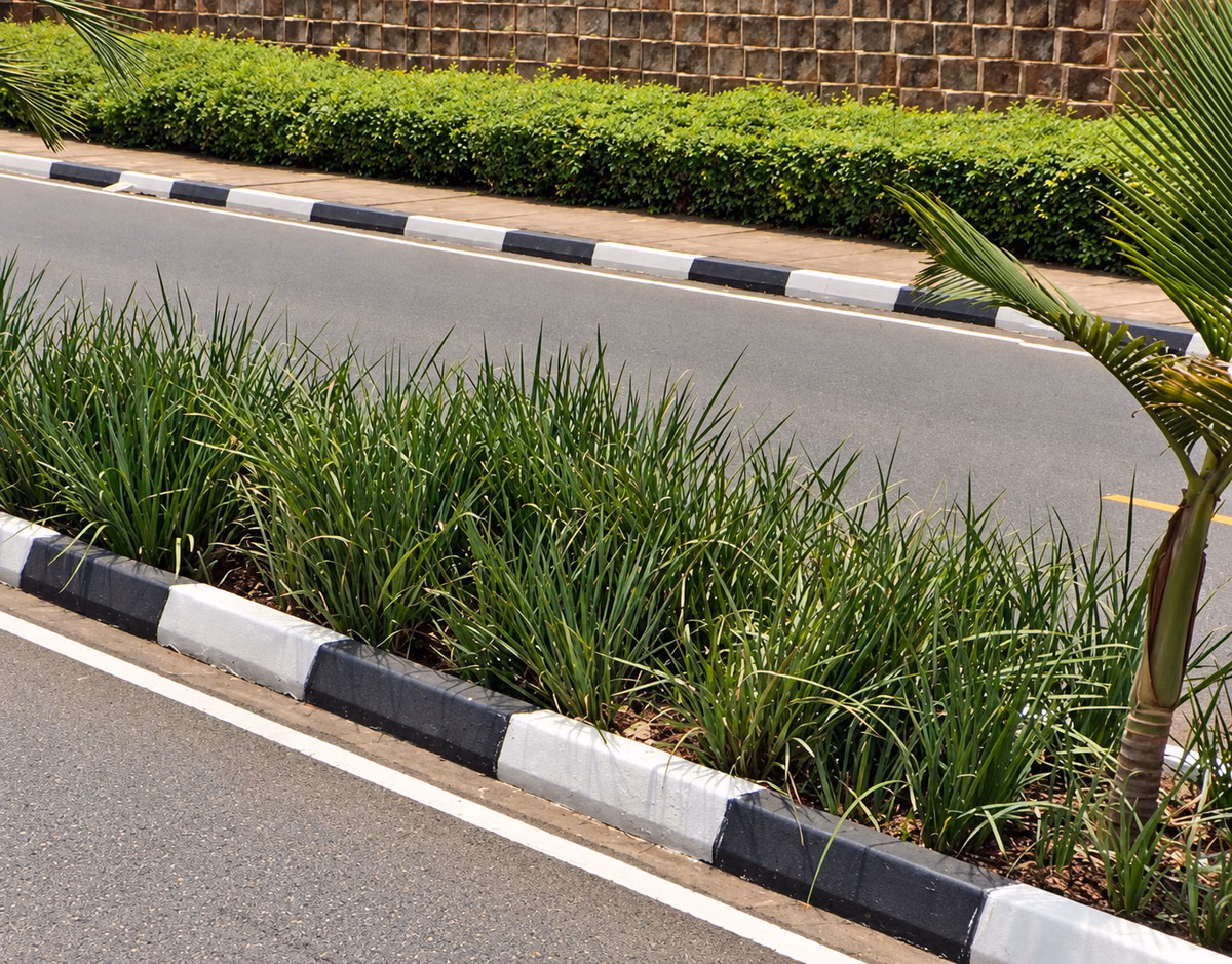 Black-and-White Curbs in Rwanda and Botswana — how it looks in GeoGuessr