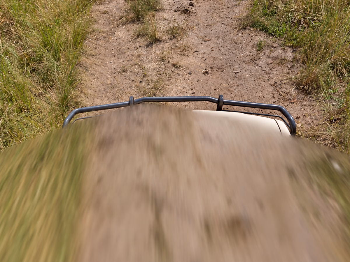 Ugandan National Park Car — how it looks in GeoGuessr