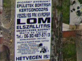 Balaton paper sticker — how it looks in GeoGuessr