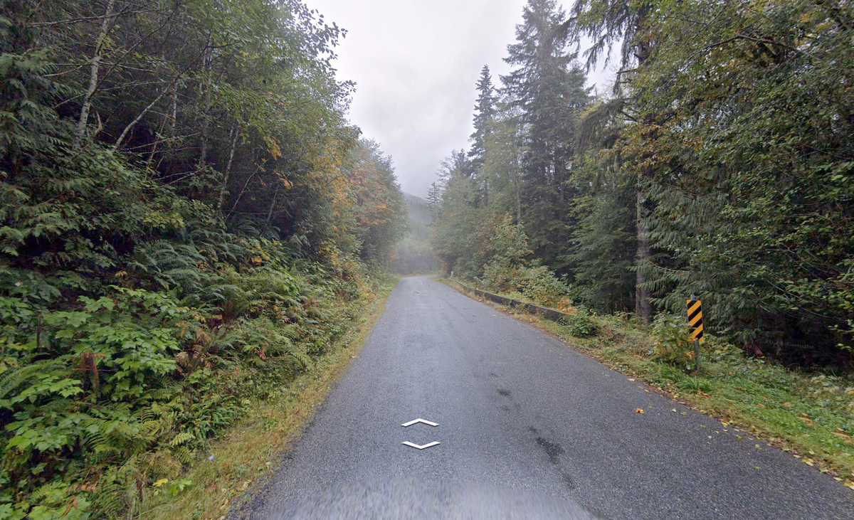 British Columbia - Vancouver Island vibes — how it looks in GeoGuessr