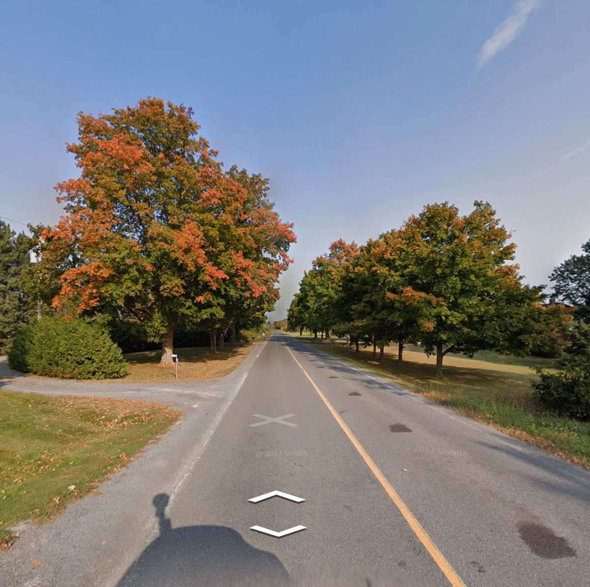 Eastern Canada - Maple trees — how it looks in GeoGuessr