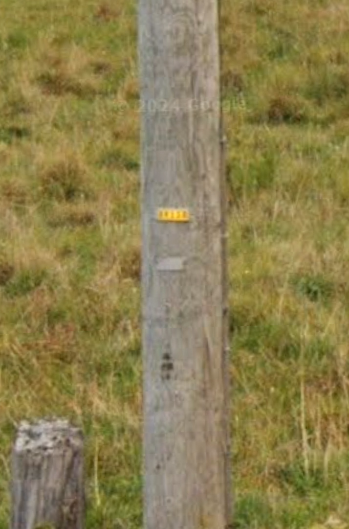 New Brunswick - Yellow pole sticker — how it looks in GeoGuessr