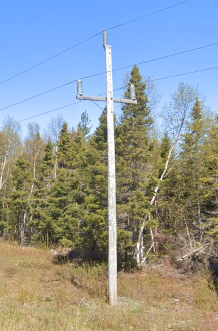Newfoundland & Labrador - Long trident poletop — how it looks in GeoGuessr