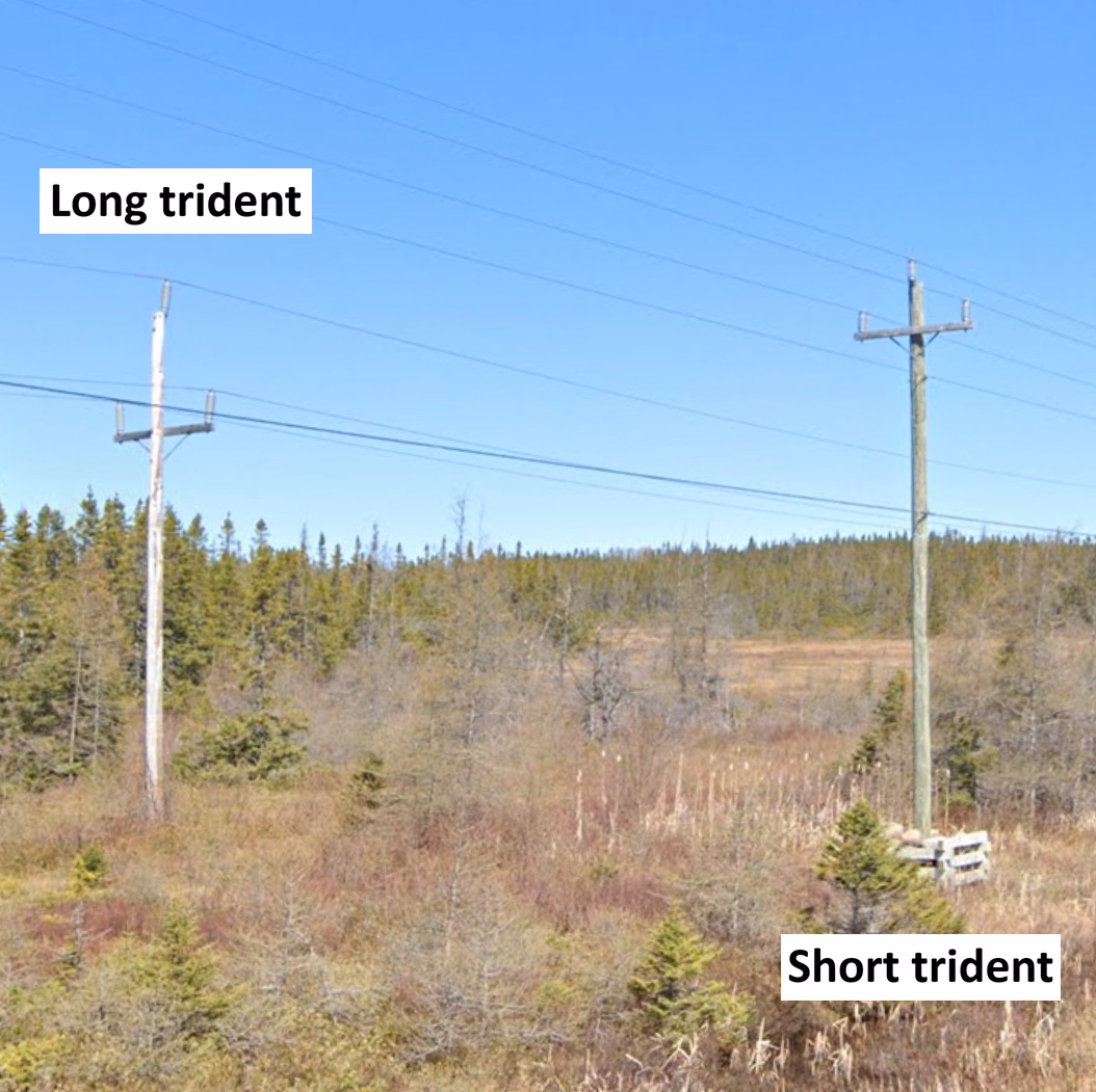 Newfoundland & Labrador - Short trident poletop — how it looks in GeoGuessr