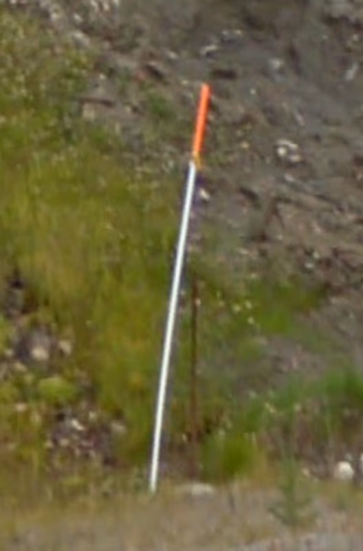 Yukon - Snowpoles — how it looks in GeoGuessr