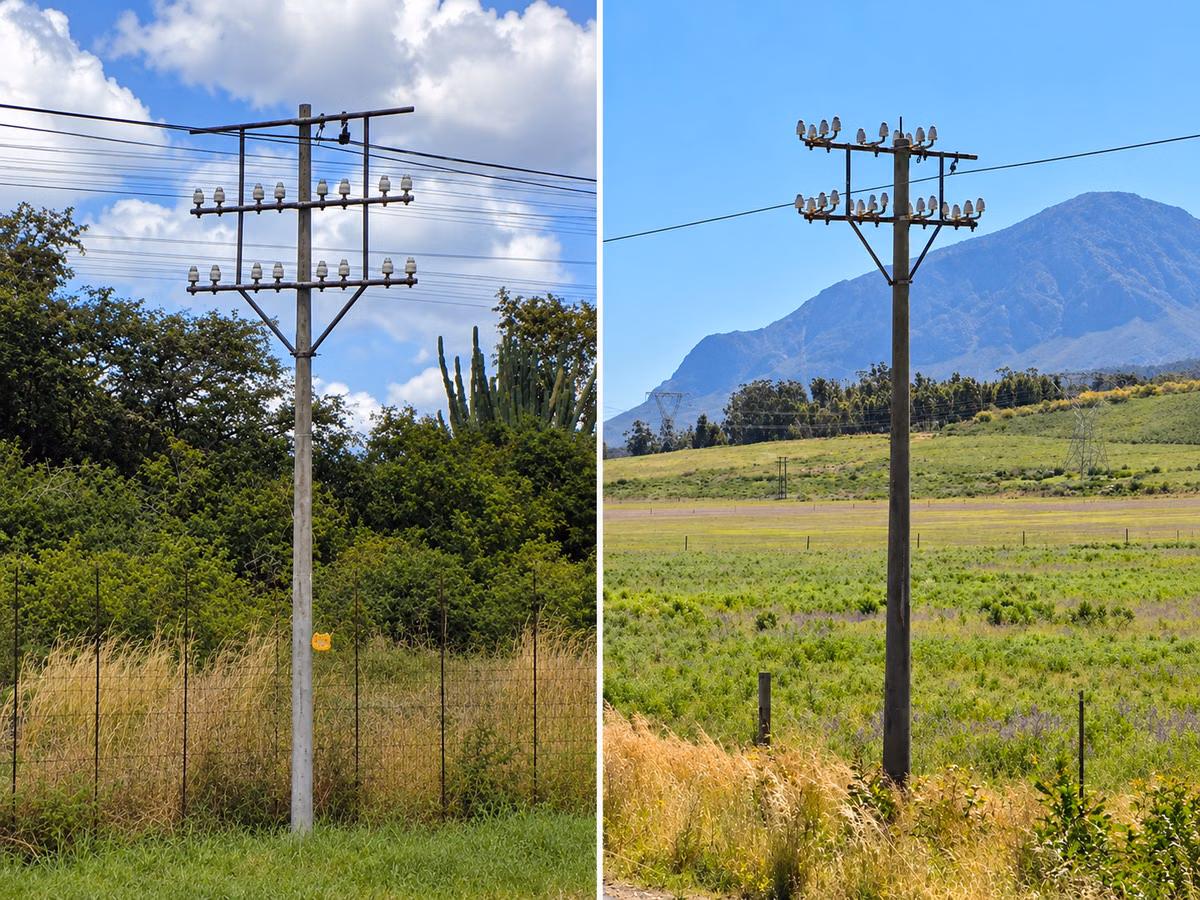 South African Bird Poles — how it looks in GeoGuessr