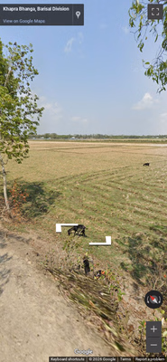 Bangladesh clue: Farmland and water