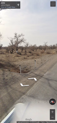Kazakhstan clue: Thin bollard