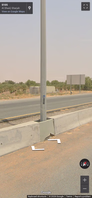 UAE clue: Falcon emblem
