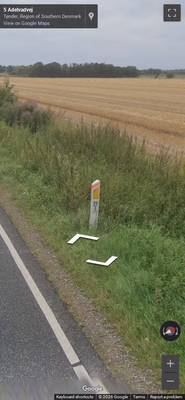 Denmark clue: Bollard regular