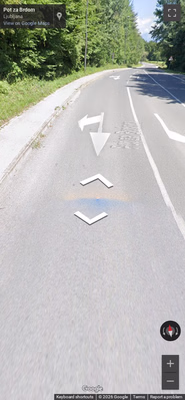 Slovenia clue: Blue google car generation 4