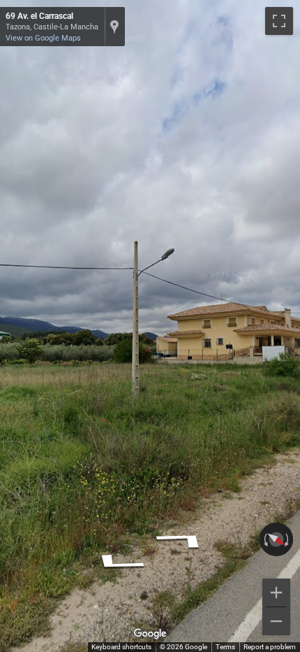 Spanish concrete utility pole with a short ladder attached, extending high up the pole.
