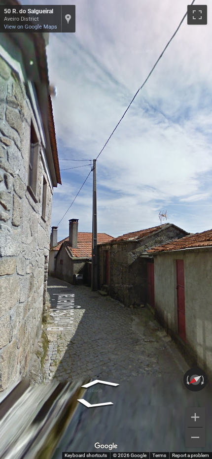 Portuguese concrete utility pole with a very long ladder extending from the ground up to the wires.