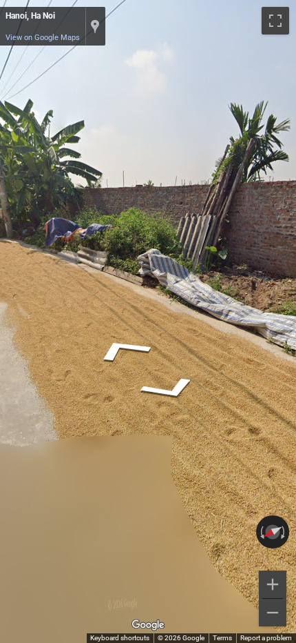 Grain — Viet Nam