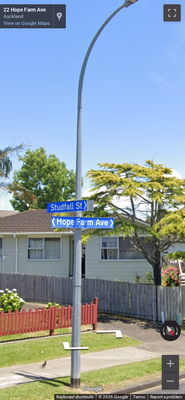 New Zealand clue: New Zealand Blue Street Signs