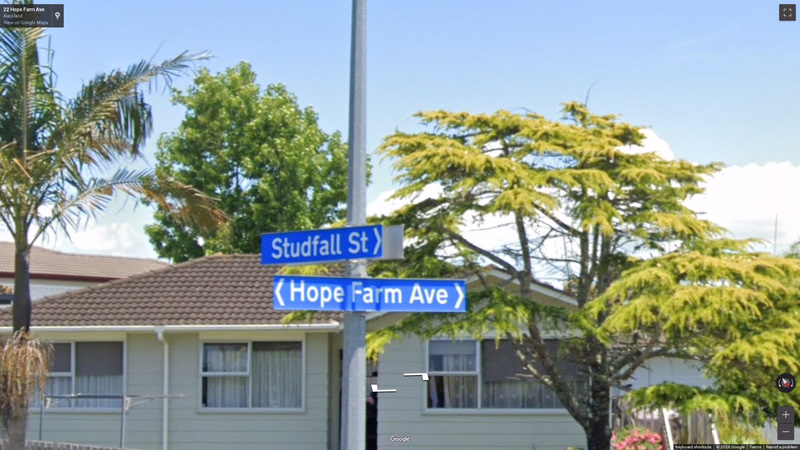 New Zealand Blue Street Signs — how it looks in GeoGuessr