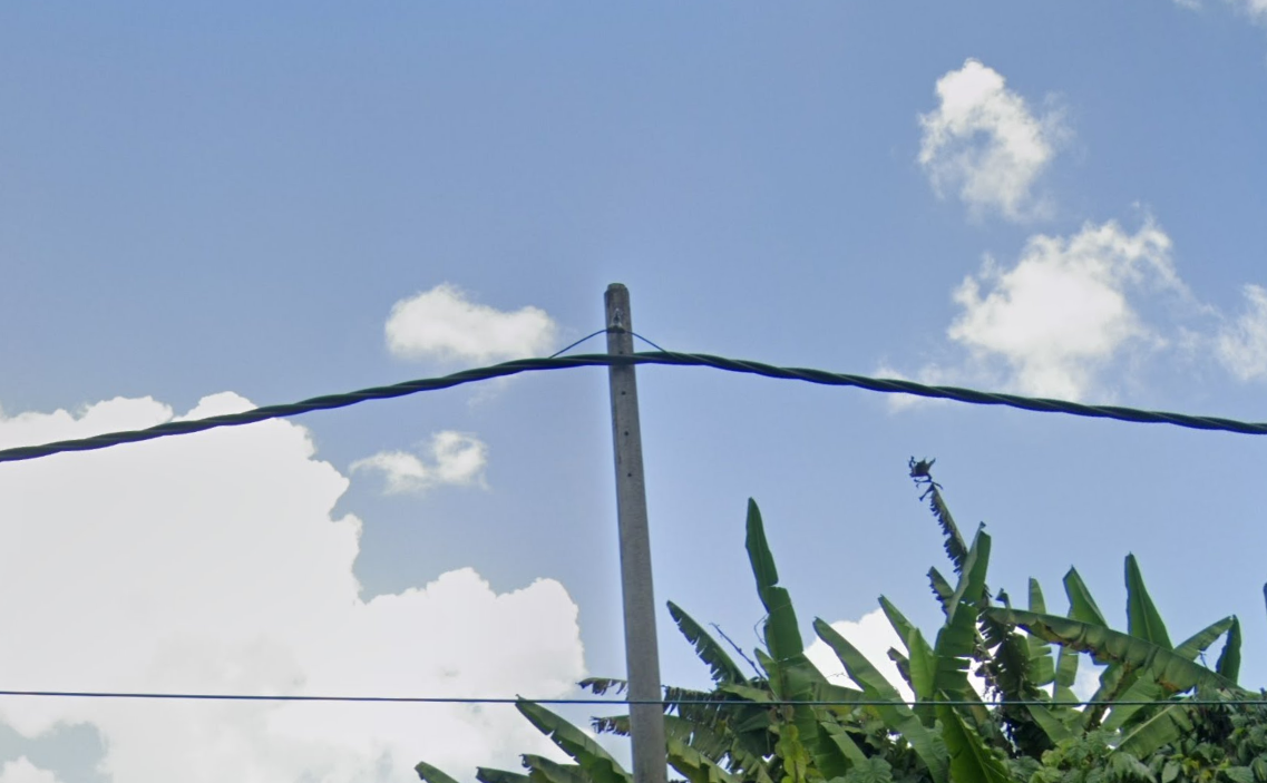 Barbed wire — Malaysia
