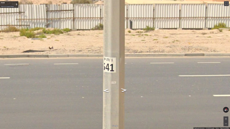 Pole Attachments — how it looks in GeoGuessr