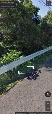Japan clue: White guardrails