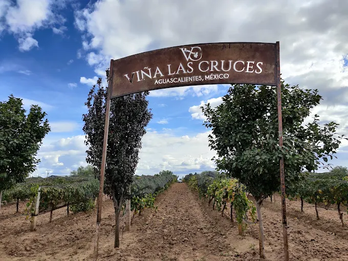Foto de Viña Las Cruces