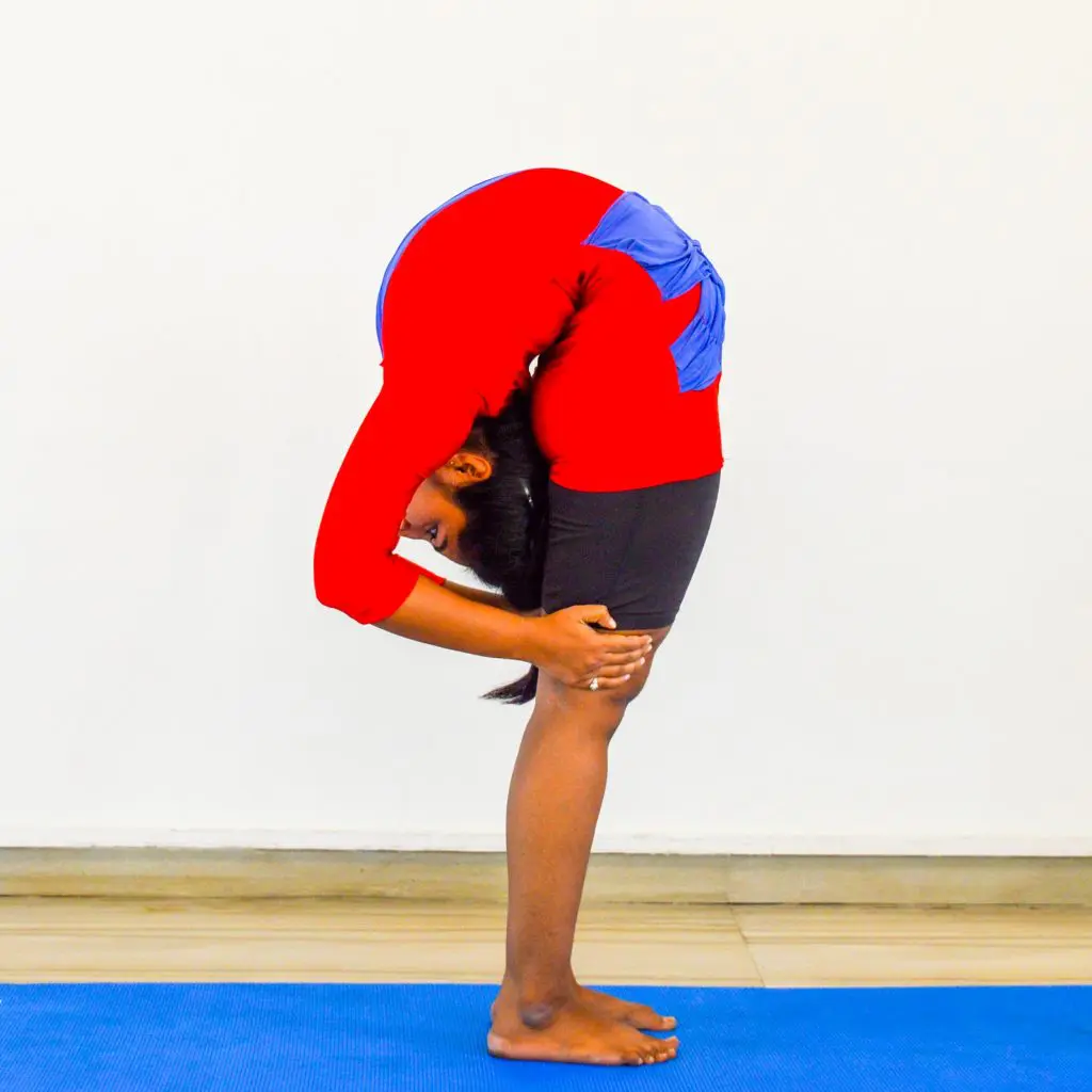 Purna Yoga 828 | Twists & Backbends with Aadil Palkhivala