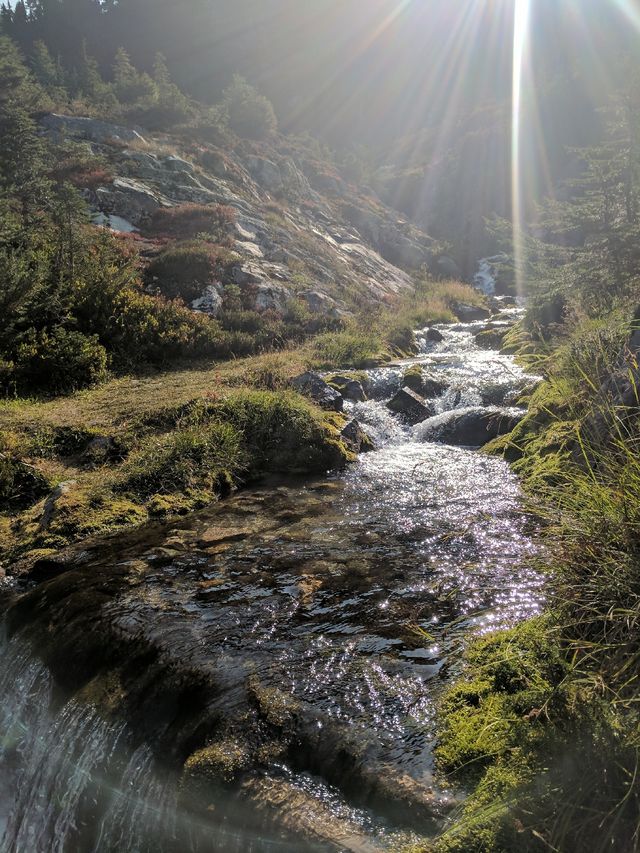 Beautiful creek for water. I love mountain stream water.