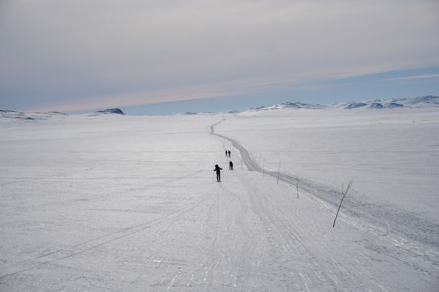 Believe it or not this is a frozen lake