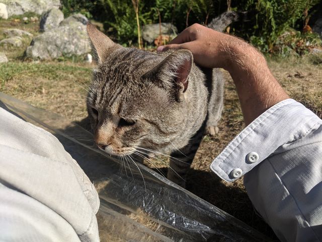 I also befriended the property's cat. She had kittens who I didn't try to bother because they were running around doing their kitten things.