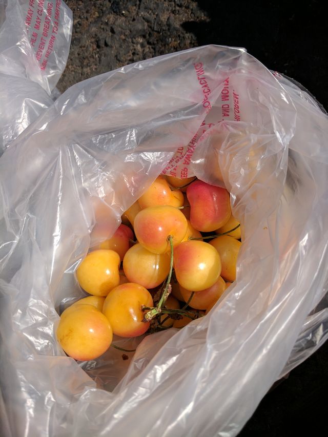 And a pound of Rainier cherries, which I've never had before